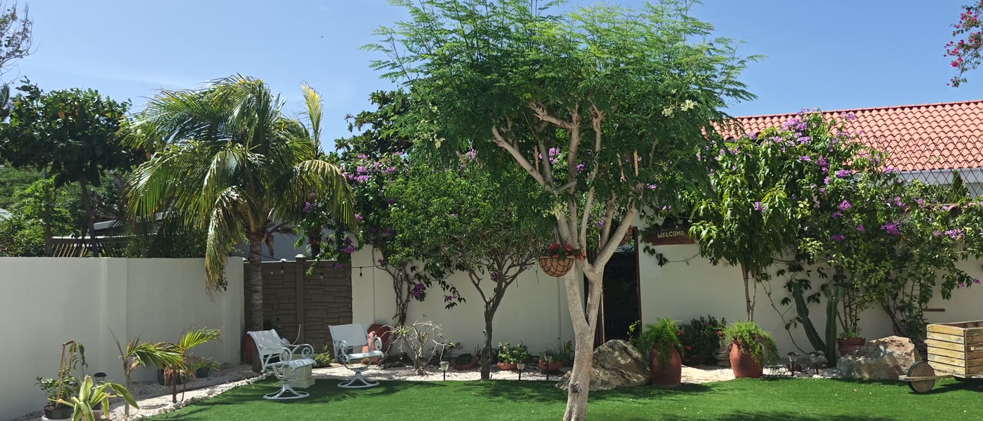 A slow pan across the lawn and shaded loungers at the spa entrance
