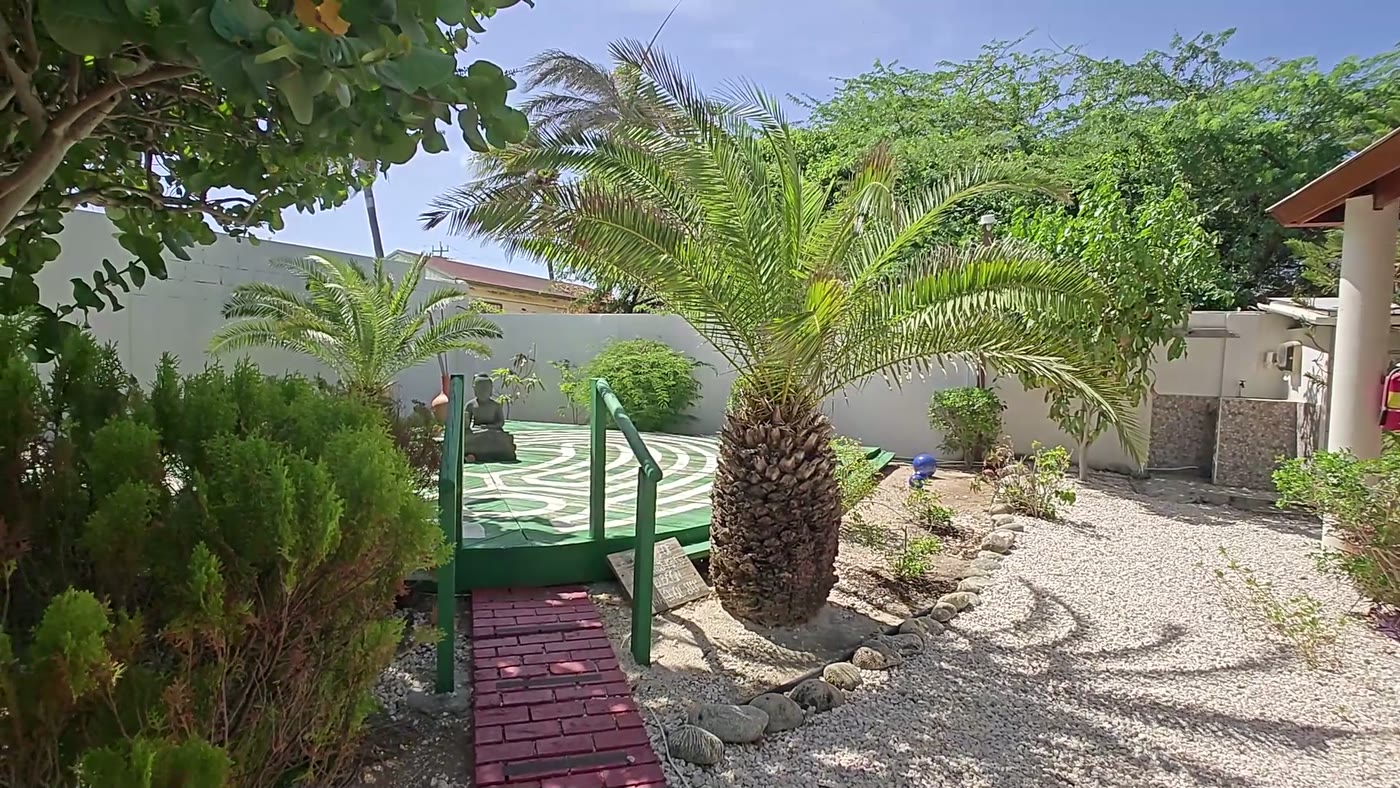 A slow pan across the garden, past a young palm to the small green bridge over the pond